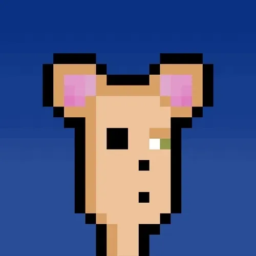 Hammie #3958