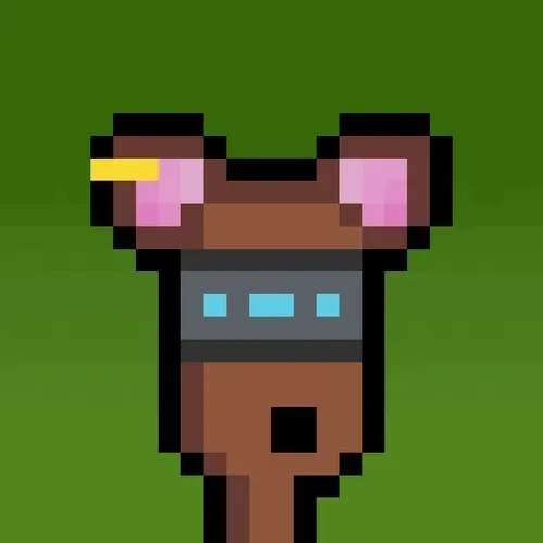 Hammie #4770