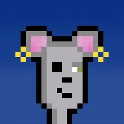 Hammie #4626