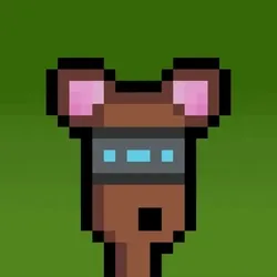 Hammie #2498