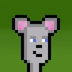 Hammie #4353