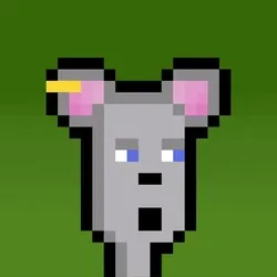 Hammie #2543