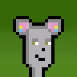 Hammie #3588