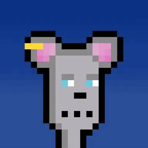 Hammie #1397