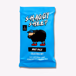 One Shaggy Sheep