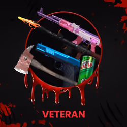 VETERAN #4049