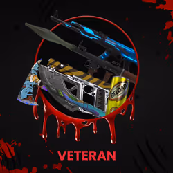 VETERAN #6383