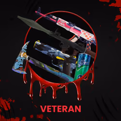 VETERAN #4120