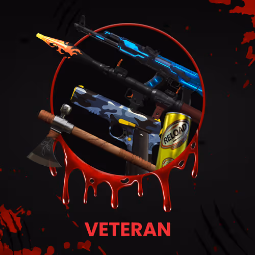 VETERAN #6282