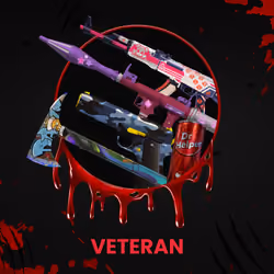 VETERAN #6437