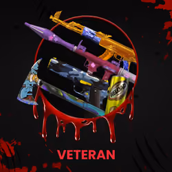 VETERAN #4048