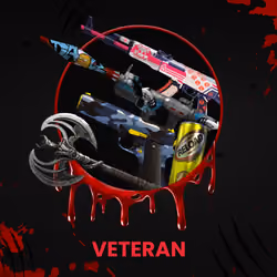 VETERAN #6385