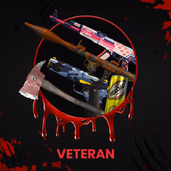 VETERAN #6382