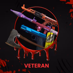 VETERAN #4053
