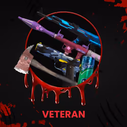 VETERAN #6407