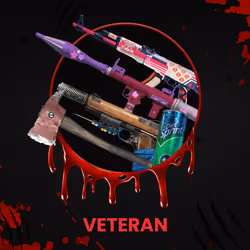 VETERAN #6443