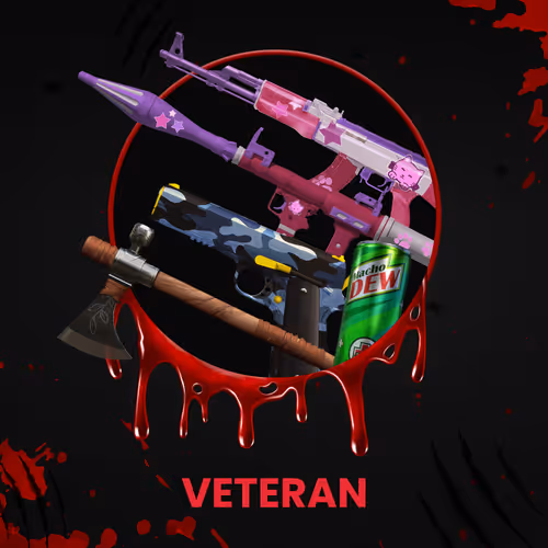 VETERAN #6360