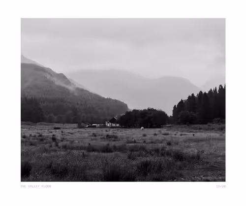 Item #415 Media