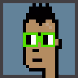 Crypto Noun Punks #336