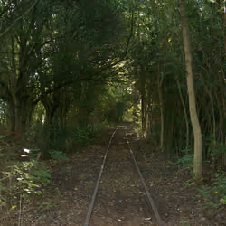 Tunnel and tracks