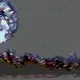 25491