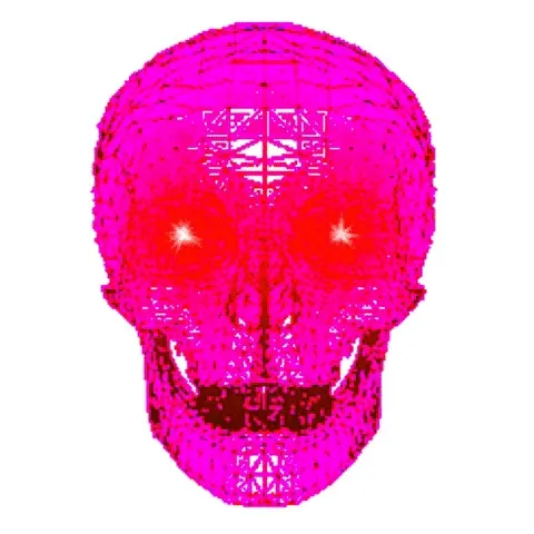 The Skull