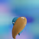 6164