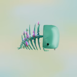Munko #5361