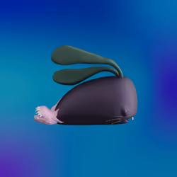 Munko #3460