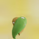 4721