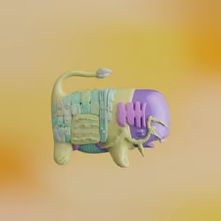 Munko #3294