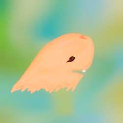 Munko #1891