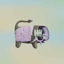 Munko #3047