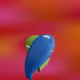 6031