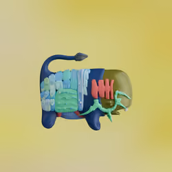Munko #4573