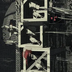 49