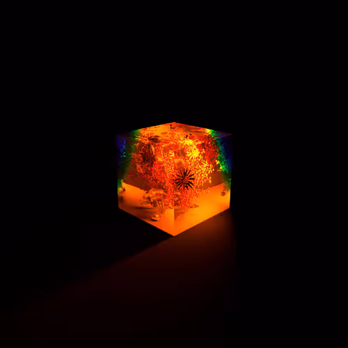 Item #10200010370 Media