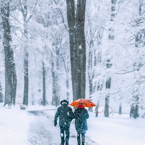 Poetry & Romance Of Daily Lives