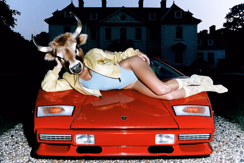 The bull run is back baby 