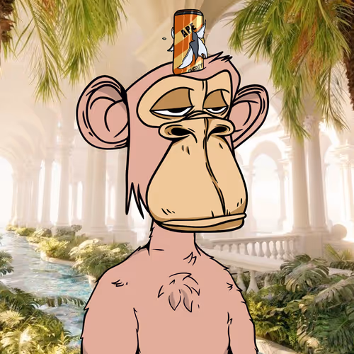 Down Market Apes Club