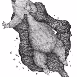 THE SILENT KILLER - LAND POLLUTION