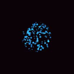 Orbs #85