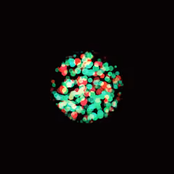 Orbs #71