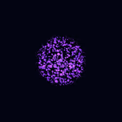 Orbs #200