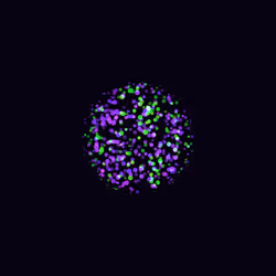 Orbs #133