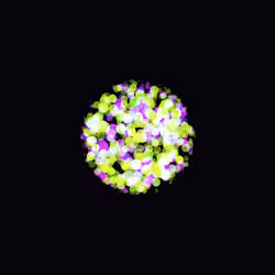 Orbs #137