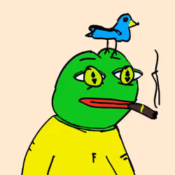 Frog #800