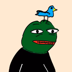 593