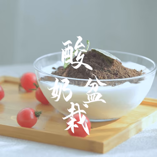 Zenlicious#779