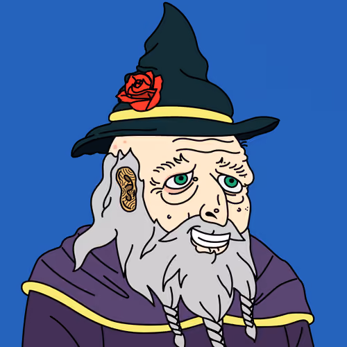 Wicked Wizard #309